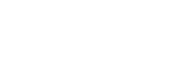 Wells Software Consulting